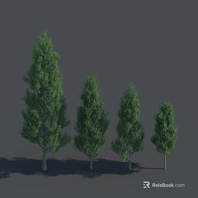 Four Green Trees of Varying Heights with Upright Trunks and Lush Foliage against Grey Background 3d model 