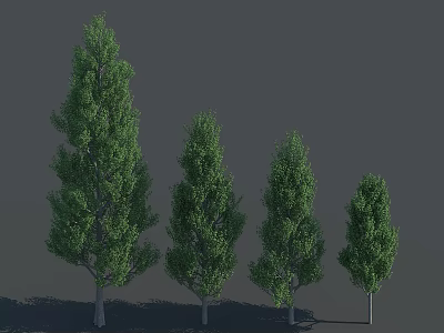 Four Green Trees of Varying Heights with Upright Trunks and Lush Foliage against Grey Background 3d model