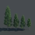 Four Green Trees of Varying Heights with Upright Trunks and Lush Foliage against Grey Background