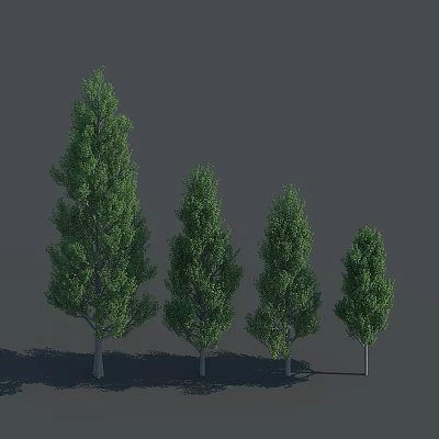 Four Green Trees of Varying Heights with Upright Trunks and Lush Foliage against Grey Background 3d model
