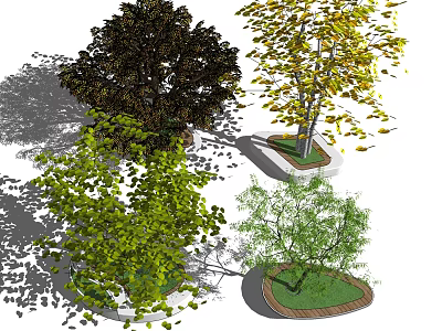 Diverse Arbor Trees With Green Yellow Dark Leaf Colors In Planters And Shadows 3d model