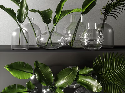 Transparent Glass Vases With Green Plant Leaves On Black Modern Shelf Decor 3d model