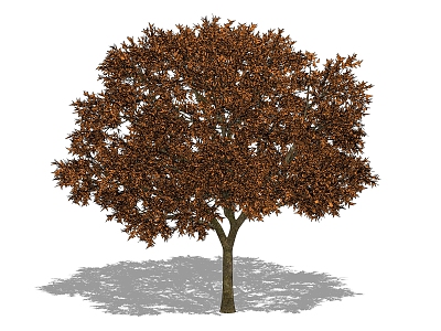 The Modern Tree model