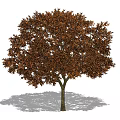 The Modern Tree 3d model