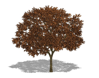 The Modern Tree 3d model