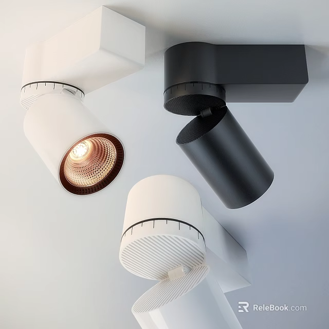 Modern Ceiling Mounted Downlights And Spotlights In White And Black Sleek Design 3d model 