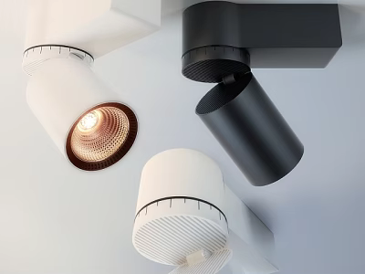 Modern Ceiling Mounted Downlights And Spotlights In White And Black Sleek Design 3d model