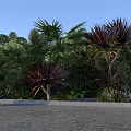 Tropical Garden Scene With Lush Palm Trees And Purple Leaf Plants Under Clear Blue Sky