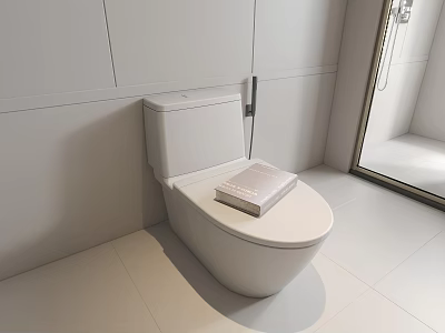 Modern White Toilet in Bathroom with Book on Lid and Mirror Wall 3d model