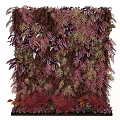 Colorful Living Plant Wall With Varied Foliage And Decorative Leaf Shapes