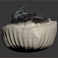 Ancient Trilobite Fossil With Preserved Organ Structure And Hair Like Details On Stone Base