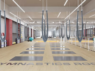 Well Equipped Gymnastic Room With Yoga Mats And Suspension Rings 3d model