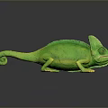 Lizard Anime Lizard Chameleon Cartoon Lizard Reptile Cold Blooded Animal Reptile Class 3d model