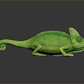 Lizard Anime Lizard Chameleon Cartoon Lizard Reptile Cold Blooded Animal Reptile Reptile Class 3d model