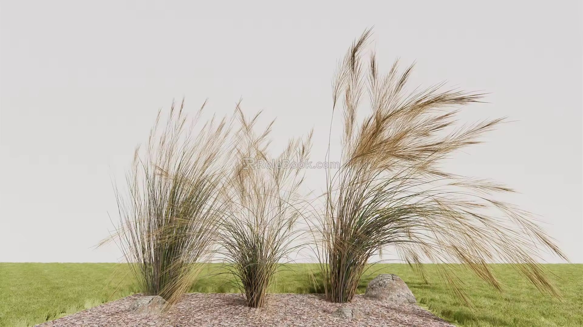 Modern feather grass 3d model