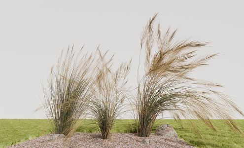 Modern feather grass 3d model