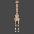 Giraffe 3D Model With Brown Spots And Long Neck Standing On Gray Background 3d model