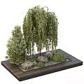 Bonsai Plants Featuring Weeping Willow Pine Tree Stones Small Green Shrubs On Wooden Tray