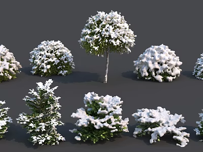 Snow Covered Bushes With Various Shapes And Green Foliage In Winter Scene 3d model
