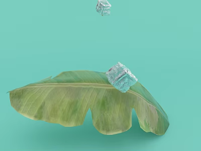Commercial Display Equipment With Transparent Cube On Green Leaf And Light Green Background 3d model