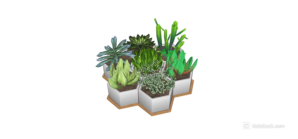 Variety of Green Succulent Plants in White Hexagonal Planters with Wooden Base 3d model 