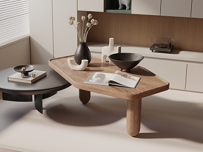 Modern coffee table model