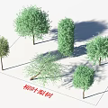 Willow Leaf Pear Trellis Trees With Different Green Foliage Shapes And Shadows 3d model