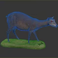 Realistic Brown Small Deer Taxidermy Mount On Stone Base In Dark Background