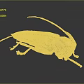 Detailed Longhorn Beetle With Long Antennae Brown White Spotted Body And Orange Legs