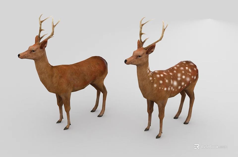 Two Reptile Creatures Displaying Distinct Skin Patterns On White Background 3d model