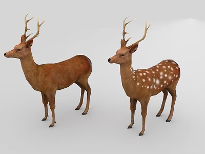 Two Reptile Creatures Displaying Distinct Skin Patterns On White Background 3d model