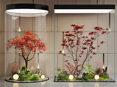 Modern Indoor Landscape With Glass Containers Red Maple Trees And Small Lights 3d model