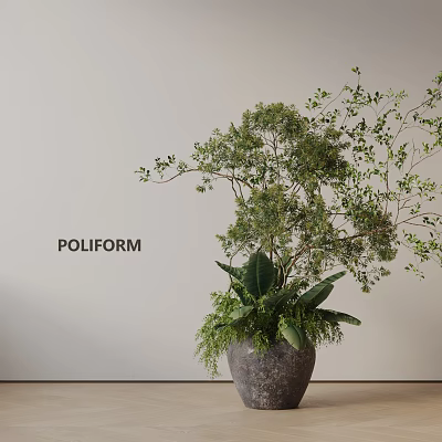 Indoor Potted Plant With Green Leaves And Branches In Gray Pot Against Light Colored Wall 3d model
