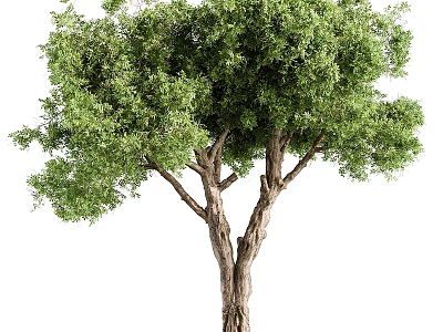 Elegant Tree Shaped Decorative Ornament Set With Green Foliage For Home Decor 3d model