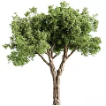 Elegant Tree Shaped Decorative Ornament Set With Green Foliage For Home Decor