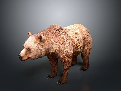 Realistic Brown Bear 3D Model With Detailed Fur Texture And Lifelike Features 3d model