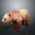 Realistic Brown Bear 3D Model With Detailed Fur Texture And Lifelike Features