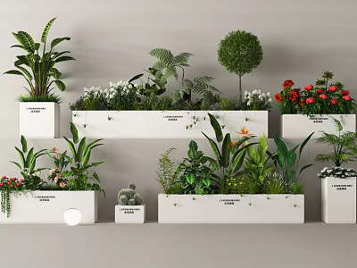 Stylish Indoor Plant Display With White Planters Various Greenery And Colorful Flowers 3d model