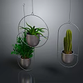 Hanging Green Plants in Metal Planters with Circular and Oval Holders on Gray Background