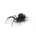 Black Reptile With Red Markings On Body And Long Legs In White Background