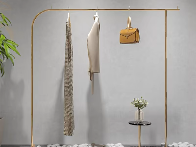 Golden Clothes Rack with Hanging Dresses Handbag Green Plant Flowers and Pebbles on Gray Wall 3d model