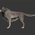 3D Rendered Game Movie Wolf Character With Brown Gray Fur Standing Gray Gradient Background Reflection