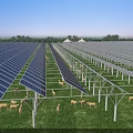 Modern Solar Panel Farm With Sheep Grazing In Green Field Under Blue Sky
