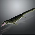 Prehistoric Marine Reptile With Long Slender Body Open Mouth Flipper Limbs And Spotted Skin