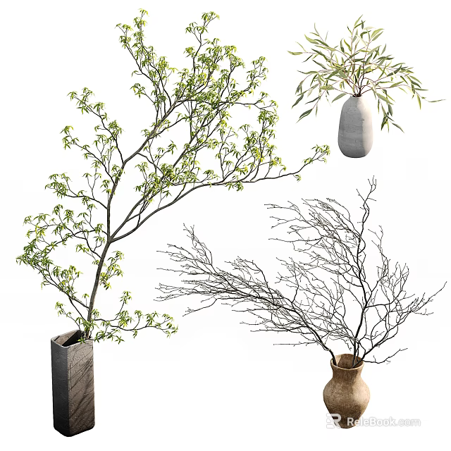 Various Decorative Vases With Green Leaf Branches Bamboo Leaves And Bare Twigs 3d model