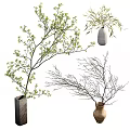 Various Decorative Vases With Green Leaf Branches Bamboo Leaves And Bare Twigs 3d model