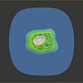 Cartoon Island Scene Surrounded By Blue Water With Green Grass Trees And Colorful Houses