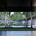 Modern Pergola Design With Outdoor Seating Area And Lush Greenery In Garden Space