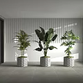 Tropical Potted Palm Banana Leaf And Bamboo Plants With Woven Texture Pots