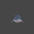 Realistic Blue Shark 3D Model With Open Mouth And Sharp Teeth